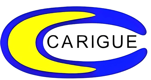 logo Carigue Aislantes